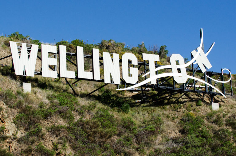 Wow Wellington 2024 Tickets Catina