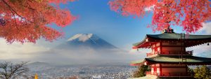 WOW! Travel Small Group Travel  