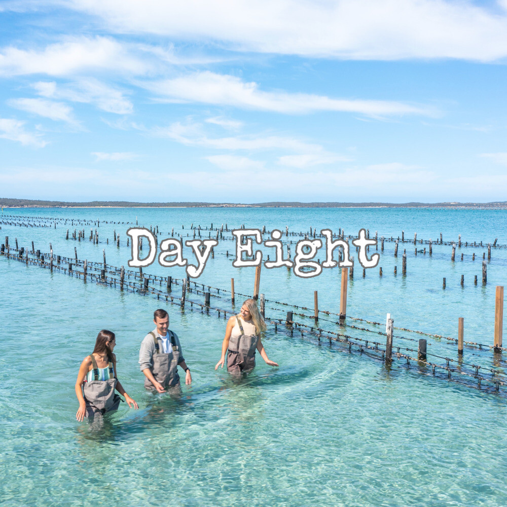 WOW! Travel Small Group Travel  