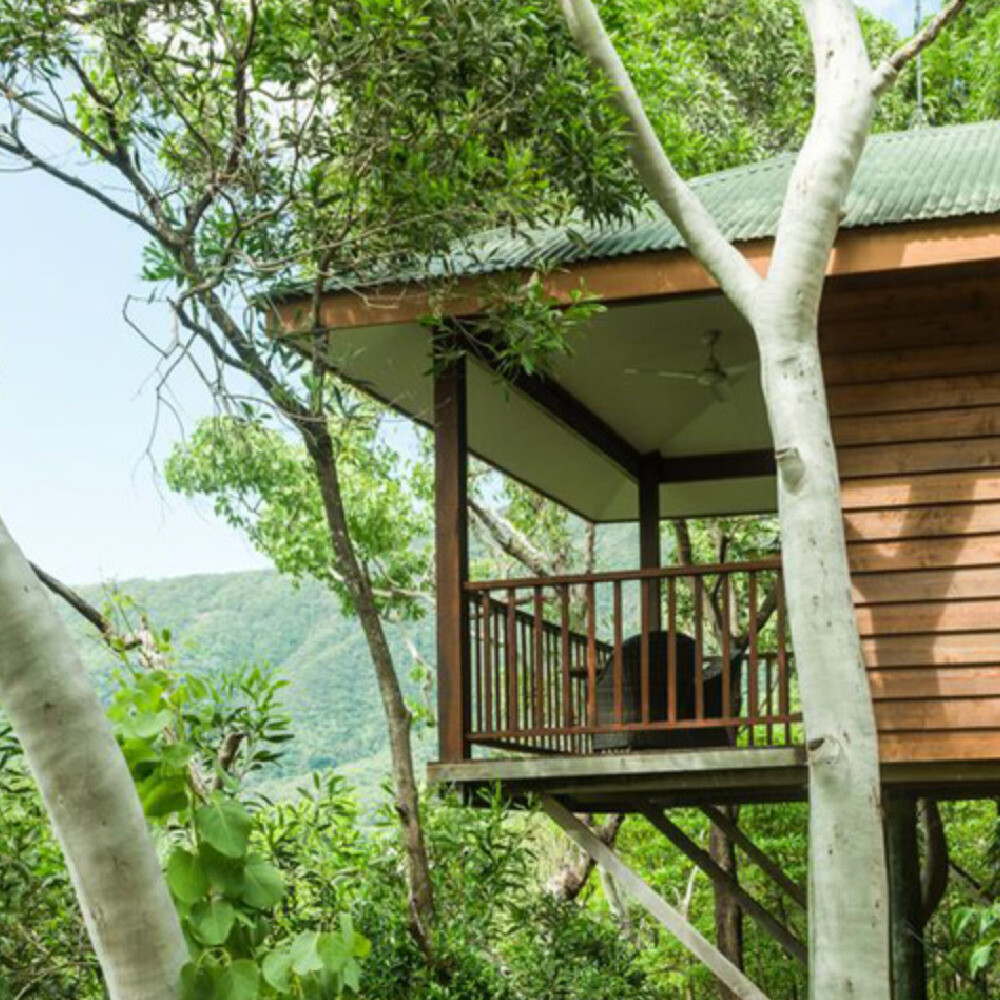 WOW! Travel Small Group Travel  